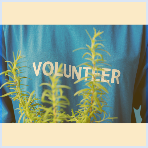 Volunteer